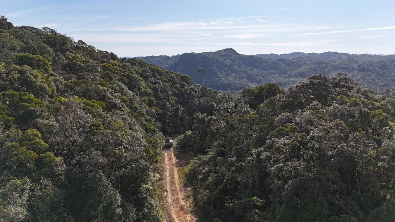 Mata Atlântica