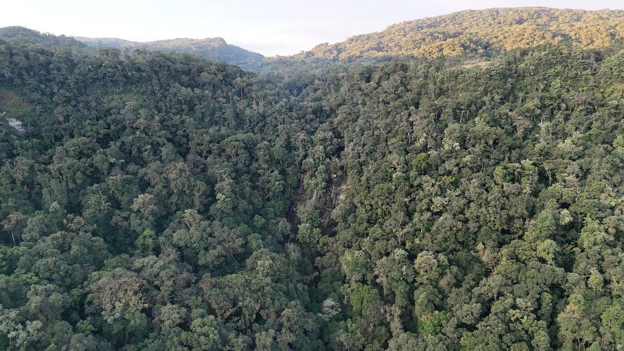 Vista aérea — Mata Atlântica