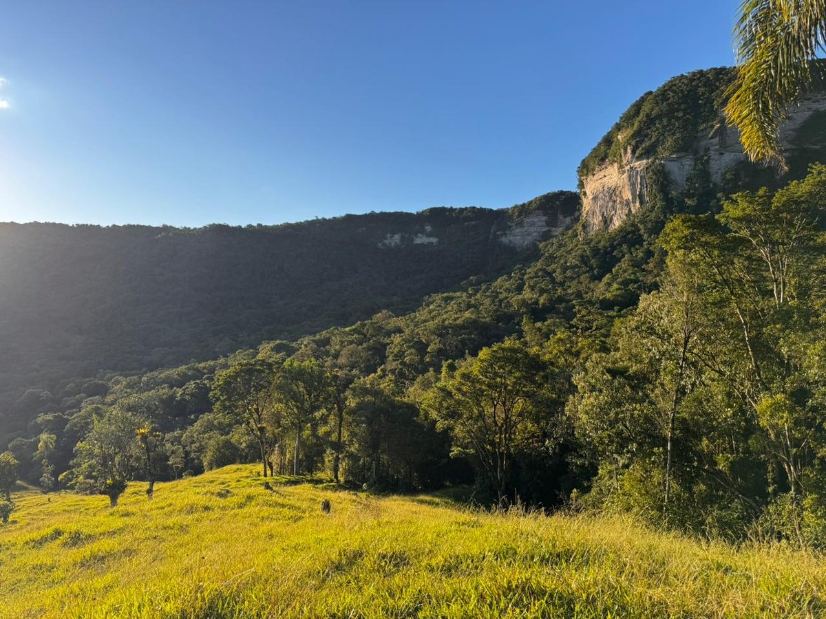 Mata Atlântica — Vale dos Ventos